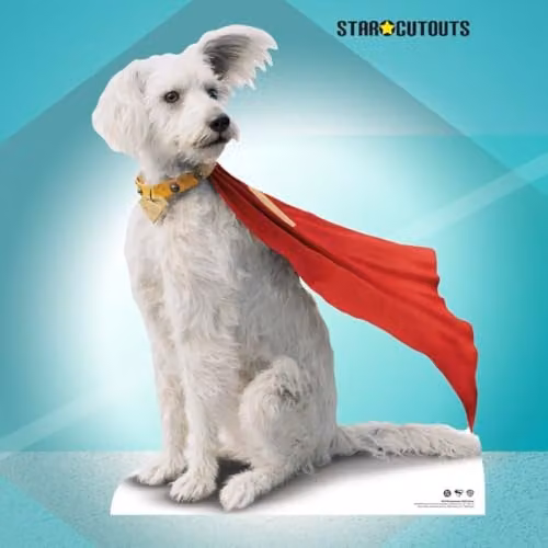 Star Cutouts Superman Movie David Corenswet with Krypto Cardboard Cutout, Height: 94 cm – 2