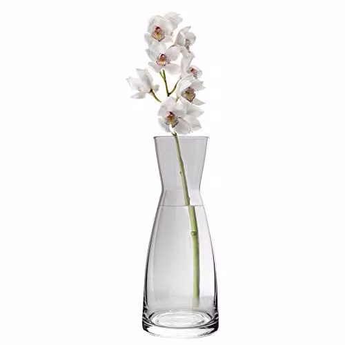 Bormioli Rocco Ypsilon Glass Carafe, 285ml, Transparent