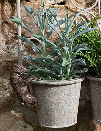 Jardinopia Pug Animal Plant Pot Hanger, Bronze, W: 4.5 cm, D: 10.5 cm, H: 6 cm – 6
