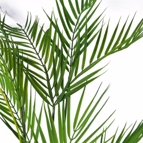 Leaf 118 cm Artificial Green Palm Tree – 2