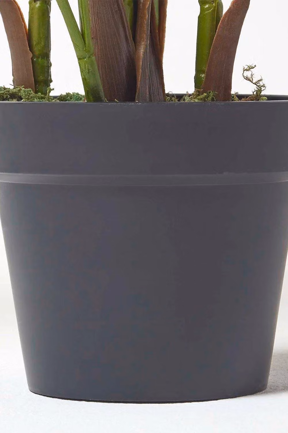 Homescapes Green Areca Palm Tree in Pot, Height: 160 cm – 2