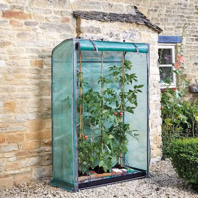 Marco Paul Green Tomato Garden Greenhouse with Steel and Plastic Frame, H 150 x W 100 x D 40 cm
