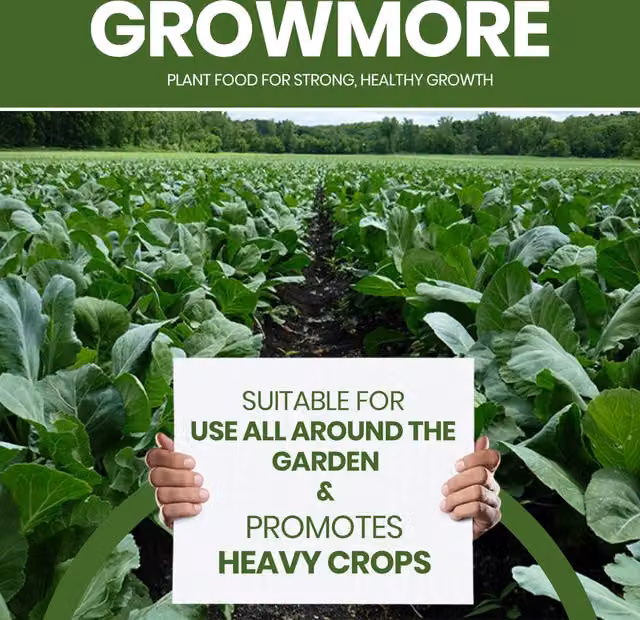 Wilko Liquid Growmore Plant Tonic for Ornamental and Vegetable Gardens (40m2)