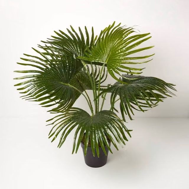 Homescapes Artificial Potted Fan Palm Tree in Green and Black, Height: 80 cm