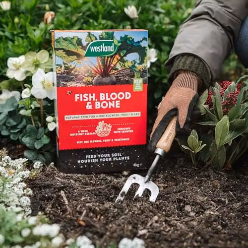 Westland Organic Fish, Blood and Bone Slow Release Plant Tonic for Vegetable, Lawn and Ornamental Gardens, 4 kg – 5