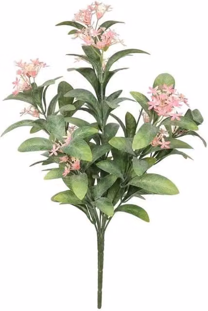 KDMD Everlast Jasmin Potted Plant with Pink Flowers, Green, 40 cm
