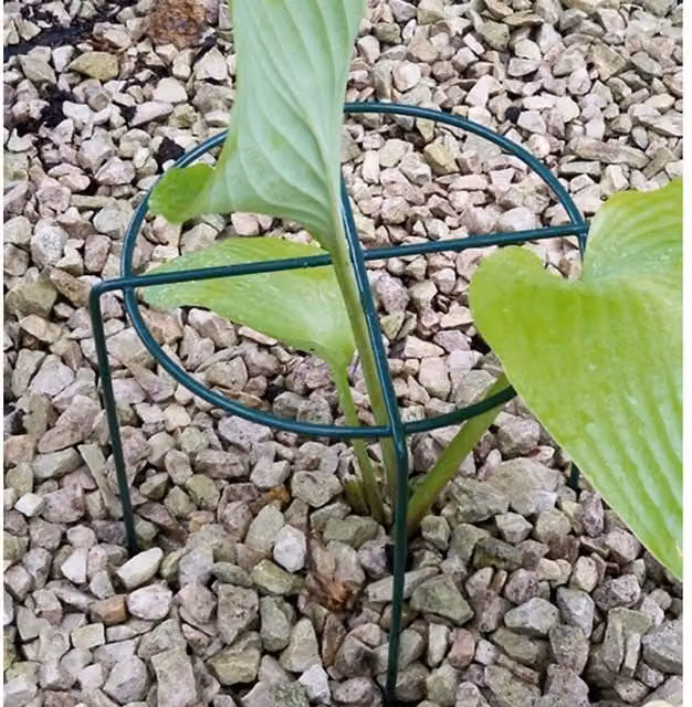 Poppyforge Small Simple Ring Pack of 4 in Green Steel, W/D/H: 20.3 x 20.3 x 30.4 cm
