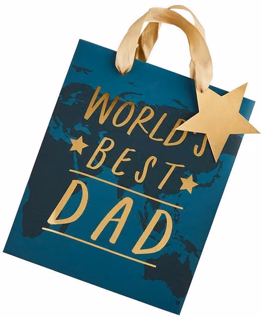 Club Green World's Best Dad Paper Gift Bag, Multicolour and Blue, Pack of 1 – 1