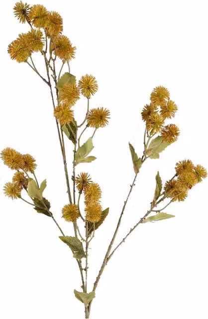 Artificial Craspedia Stem with Foliage in Yellow
