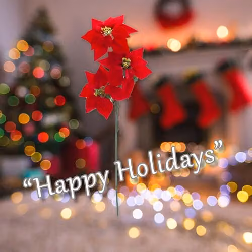VFM e-Store 3 Head Poinsettia Bunch Christmas Decoration, Red, 68 cm – 3