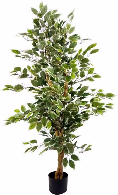 Leaf Realistic Artificial Variegated Ficus Tree Plant in White and Green