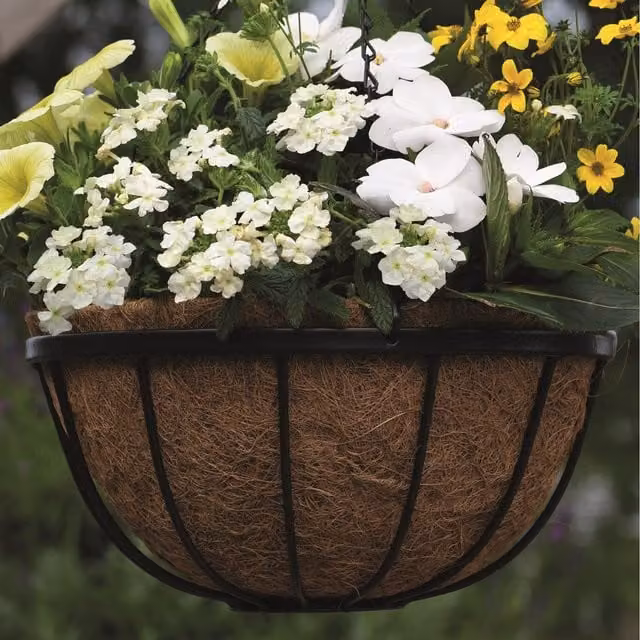 Thompson & Morgan Brown Coconut Coir Coco Liner for Hanging Baskets, Pack of 2