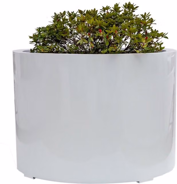 Primrose Stone Composite Low Cylinder Tub Planter, White, Height: 100 cm
