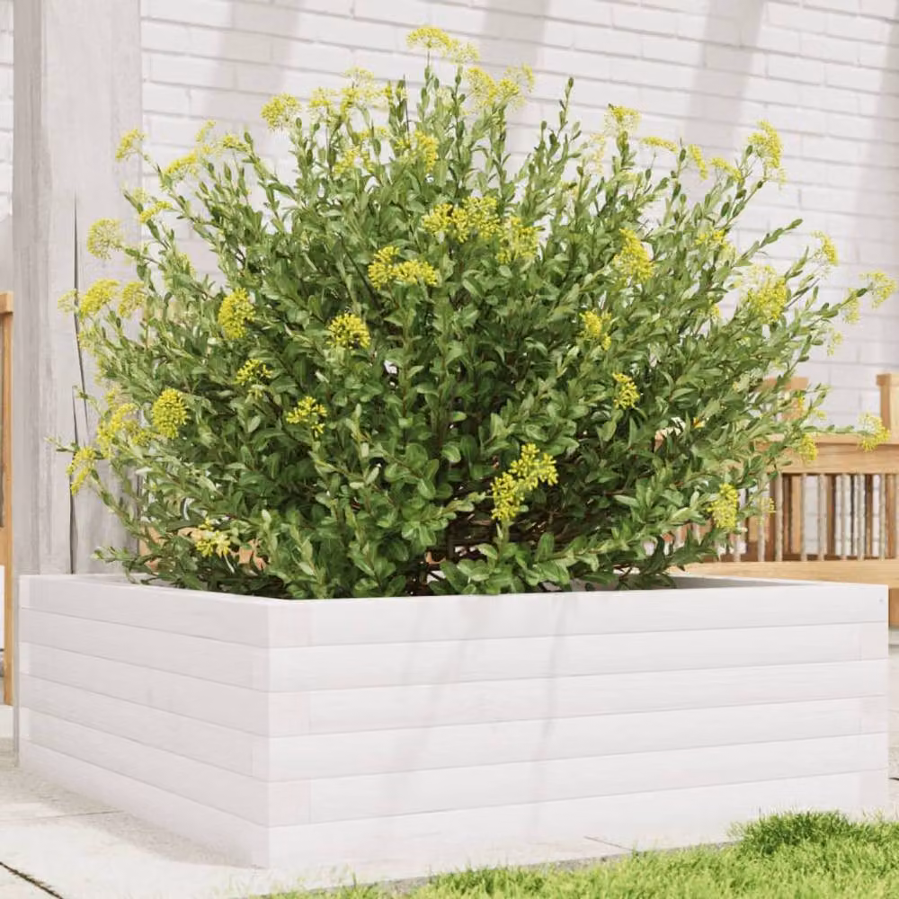 Berkfield Home White Solid Pine Garden Planter Tub W/D/H: 70 x 70 x 23 cm – 2
