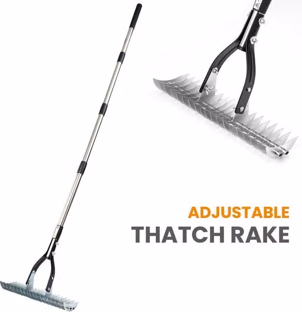 Crystals Stainless Steel Curved Tooth Thatch Rake in Silver