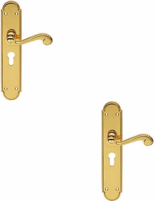 Loops 2x Pair Beaded Pattern Handle on Euro Lock Backplate, Polished Brass, 249 x 50 mm