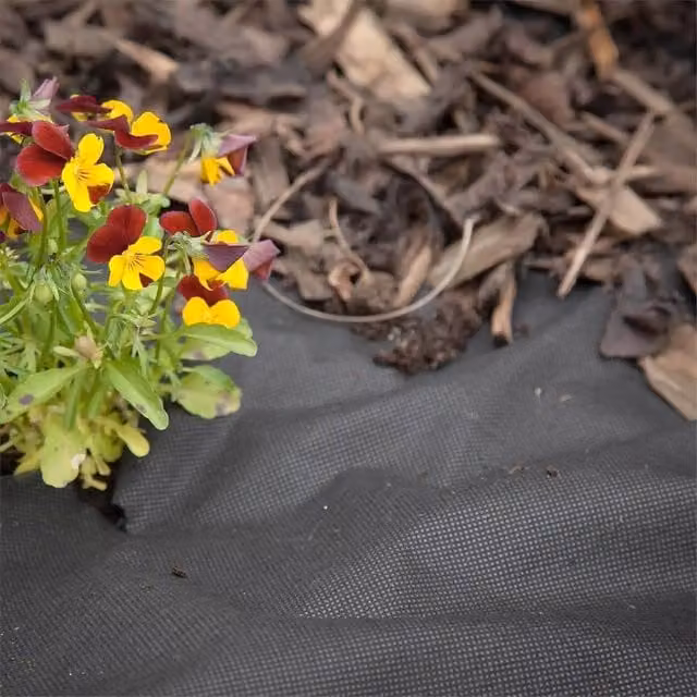 FLAVORA Black Weed Control Ground Fabric Membrane, W: 1.5 m, L: 8 m