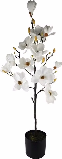 Luxury White Magnolia Artificial Flowering Tree, Height: 110 cm, Width: 40 cm