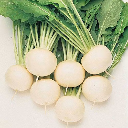 Thompson and Morgan Turnip Oasis Seeds, 250 Seeds per Packet