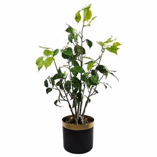 Leaf Green Artificial Bonsai Tabletop Tree H 60 cm x W 30 cm x D 30 cm