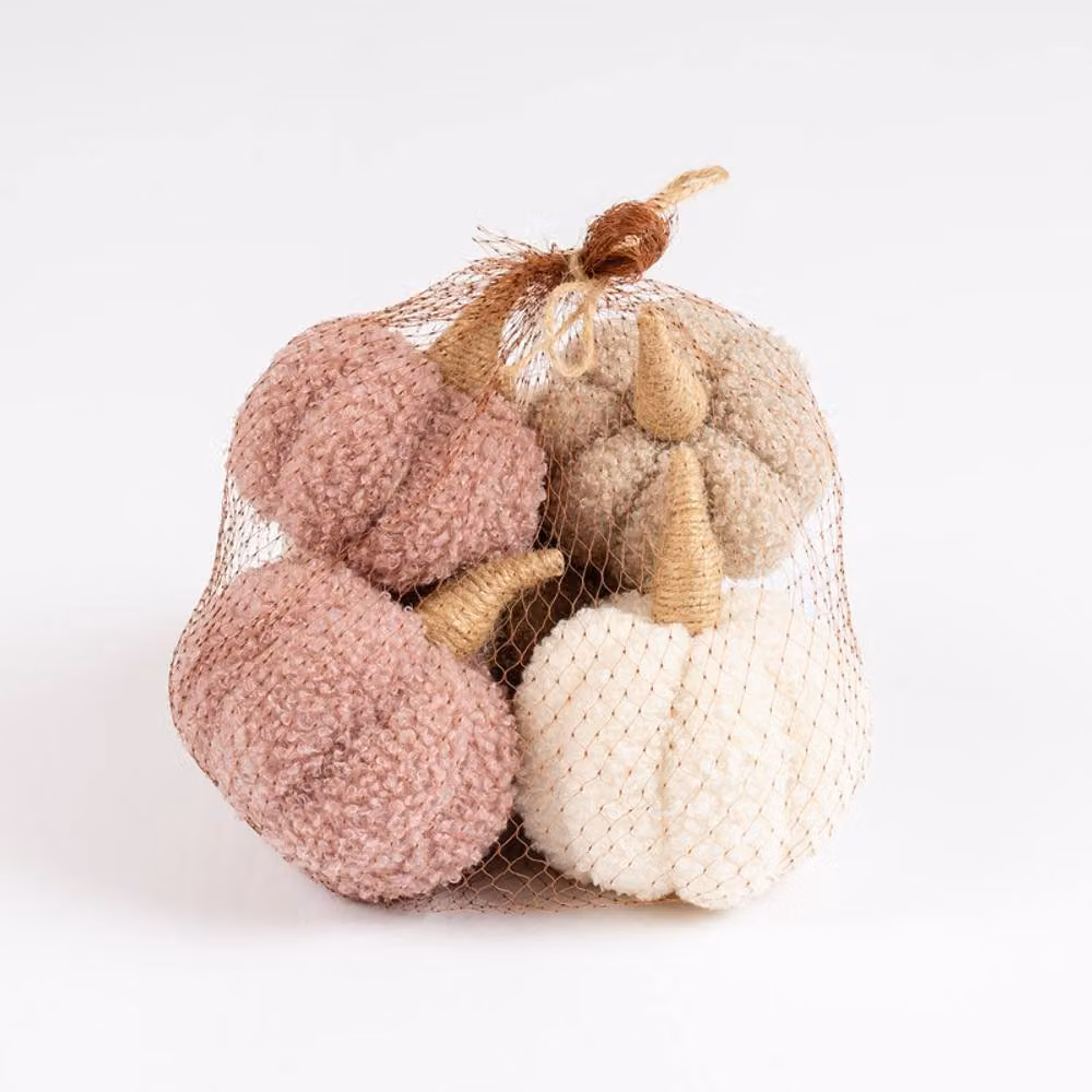 Scottish Everlastings Ltd Set of 5 Decorative Boucle Pumpkins in Pink and Beige – 2