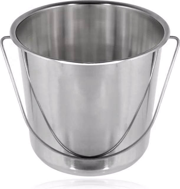 SPARES2GO 12 Litre Stainless Steel Handled Pail Bucket in Silver