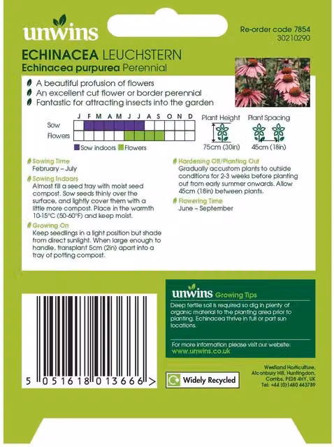 Unwins Echinacea purpurea Leuchstern Wildflower Seeds, Purple and Orange, 50 g