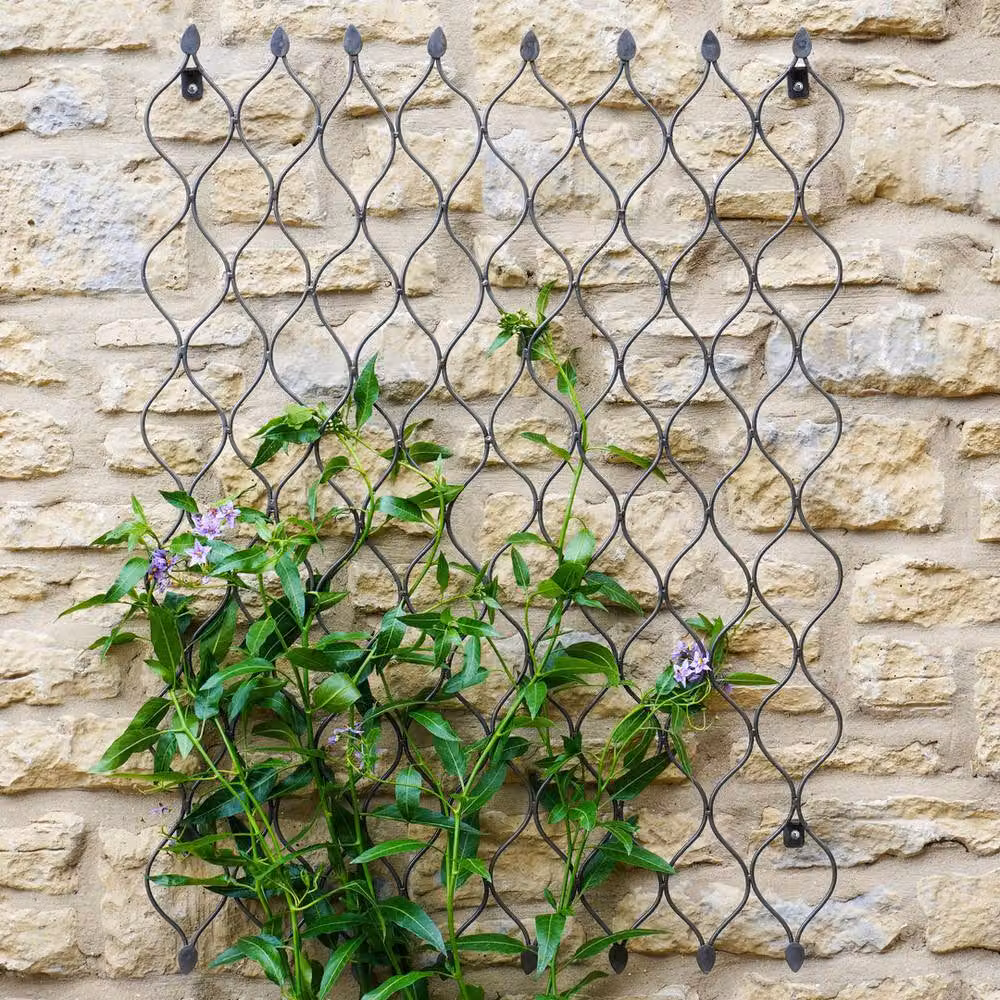 Lemon Pavilion Outdoor Honeycomb Trellis in Silver Mild Steel, W: 78 cm, H: 100 cm, L: 250 cm – 2