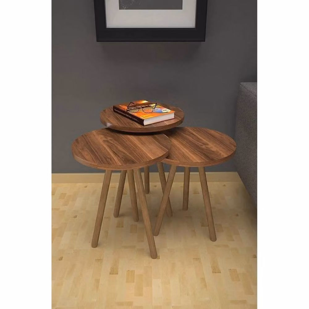 PAWNORA 3-Piece Brown Wood Scandinavian Nesting Coffee Table Set with Round Tops – 2