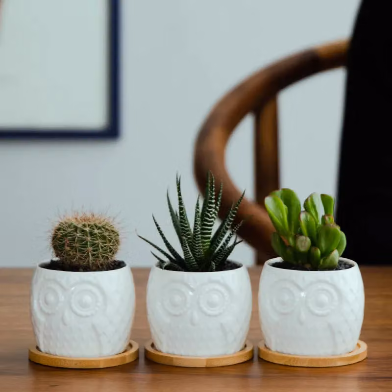 Simpa 6-Piece White Owl Ceramic Decorative Plant Pots, H 7.3 cm x Dia 7.3 cm – 3