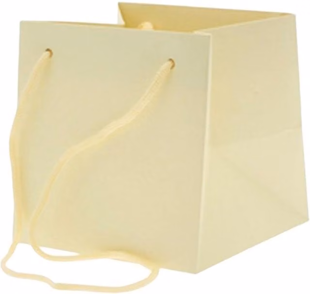 KDMD Small Ivory Paper Hand Tie Bags, 12 Pack