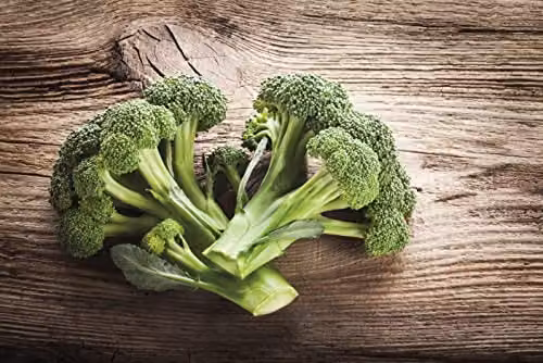 Johnsons Organic Broccoli Calabrese Ramoso Vegetable Seeds, Green – 3