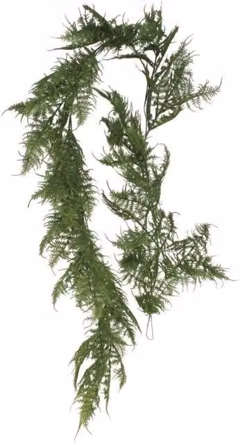 KDMD Artificial Asparagus Leaf Garland in Green, 180cm