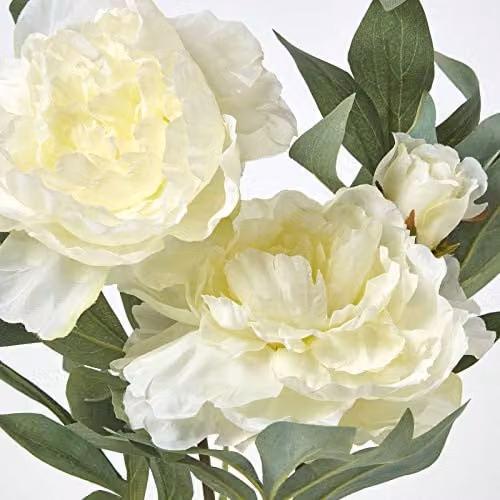 Homescapes Artificial Peonies in a Cream Ceramic Pot, Height: 48 cm – 2