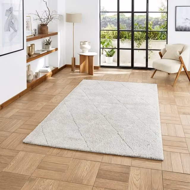 Ideal Shaggy 80260 Rectangular Rug in Silver, Machine Woven Polypropylene