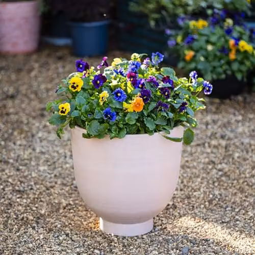 Garden Gear Romano Planter in Brown Terracotta Effect, 40 cm Diameter – 3
