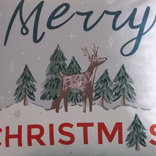 Fusion Merry Christmas Deer Festive Print Velvet Filled Square Cushion in Green, W/D/H: 43 x 43 x 43 cm – 4