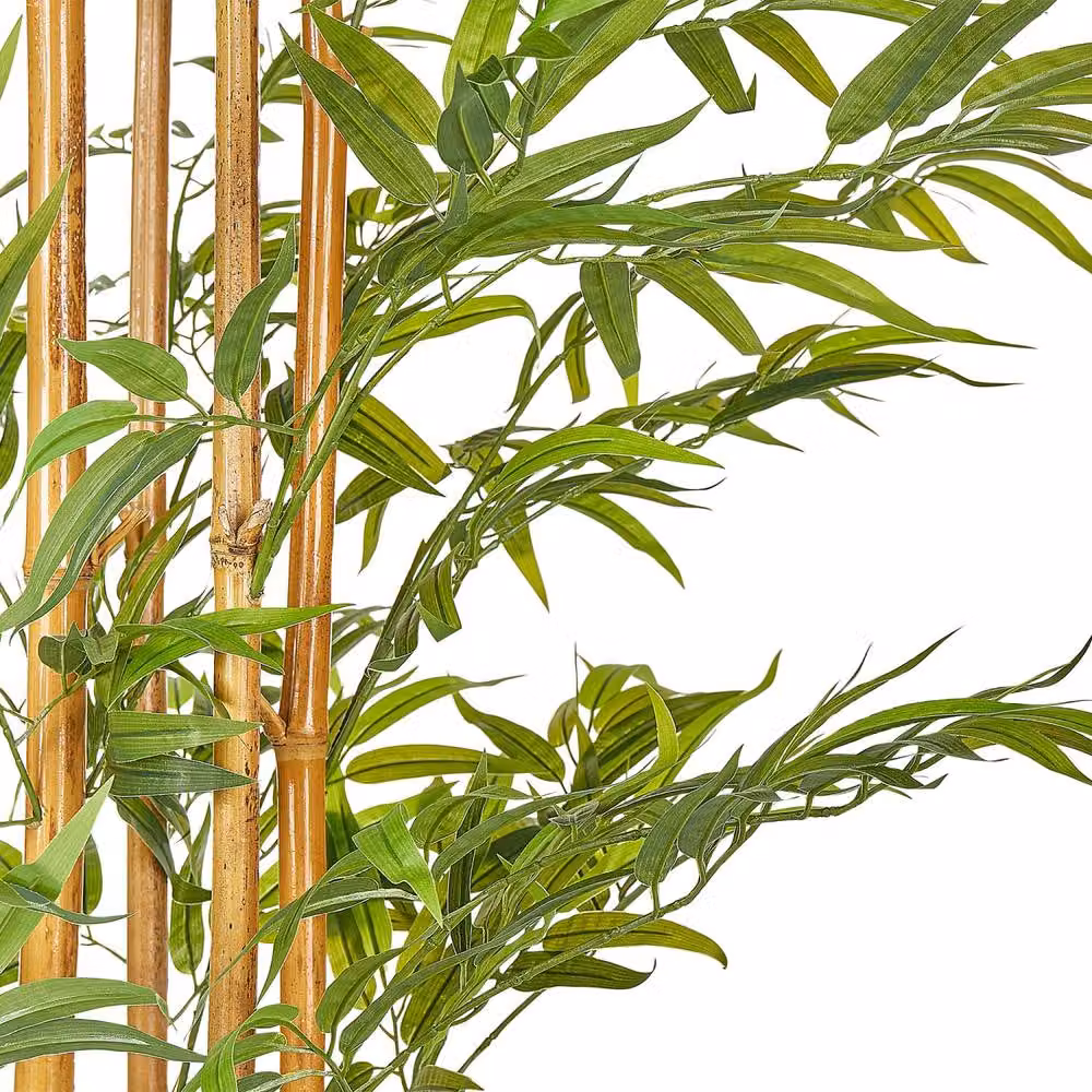 Wyld and Coco Lifelike Bamboo Tree, Green and Black, Height: 220 cm – 3