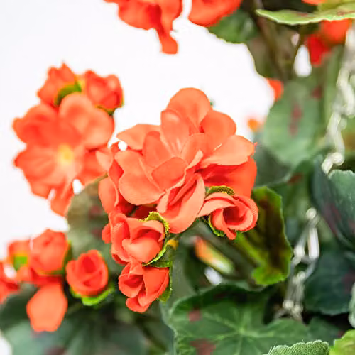 Primrose Red Artificial Geranium Flowers in a Rattan Hanging Basket, Diameter: 30 cm – 2