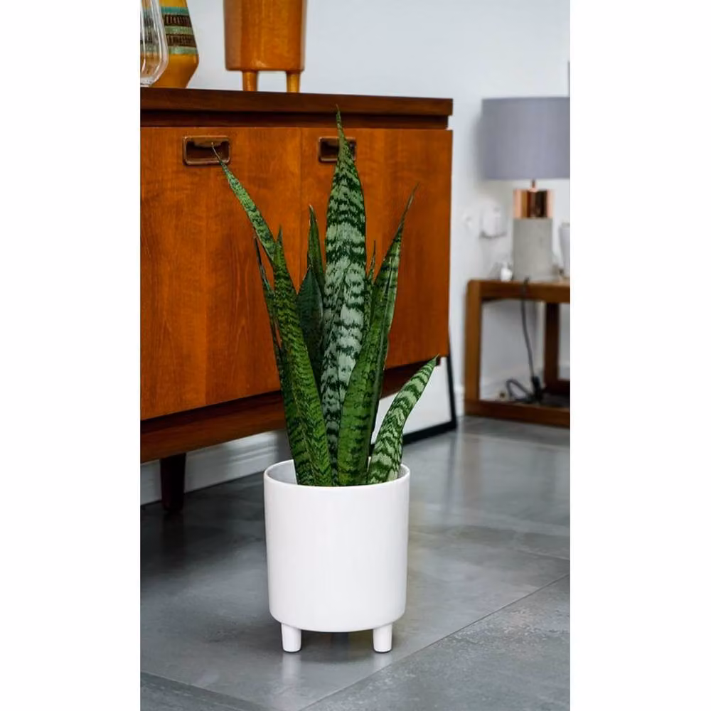 Lemon Pavilion Pisa Ceramic Tabletop Planter, White, W: 20 cm, D: 20 cm, H: 24 cm – 3