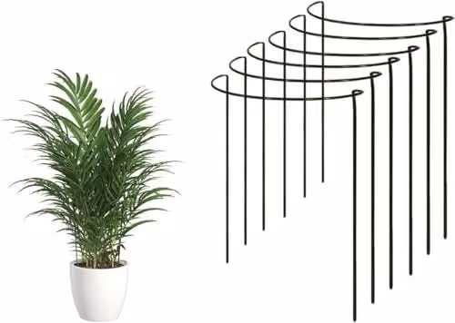 Garden Pride Green Metal Plant Support Ring Cage for Indoor and Ornamental Garden Plants, W: 19 cm, H: 36 cm