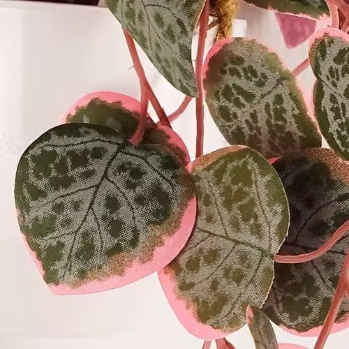 Leaf Pink and White Artificial String of Hearts Hanging Plant, 90 cm – 2
