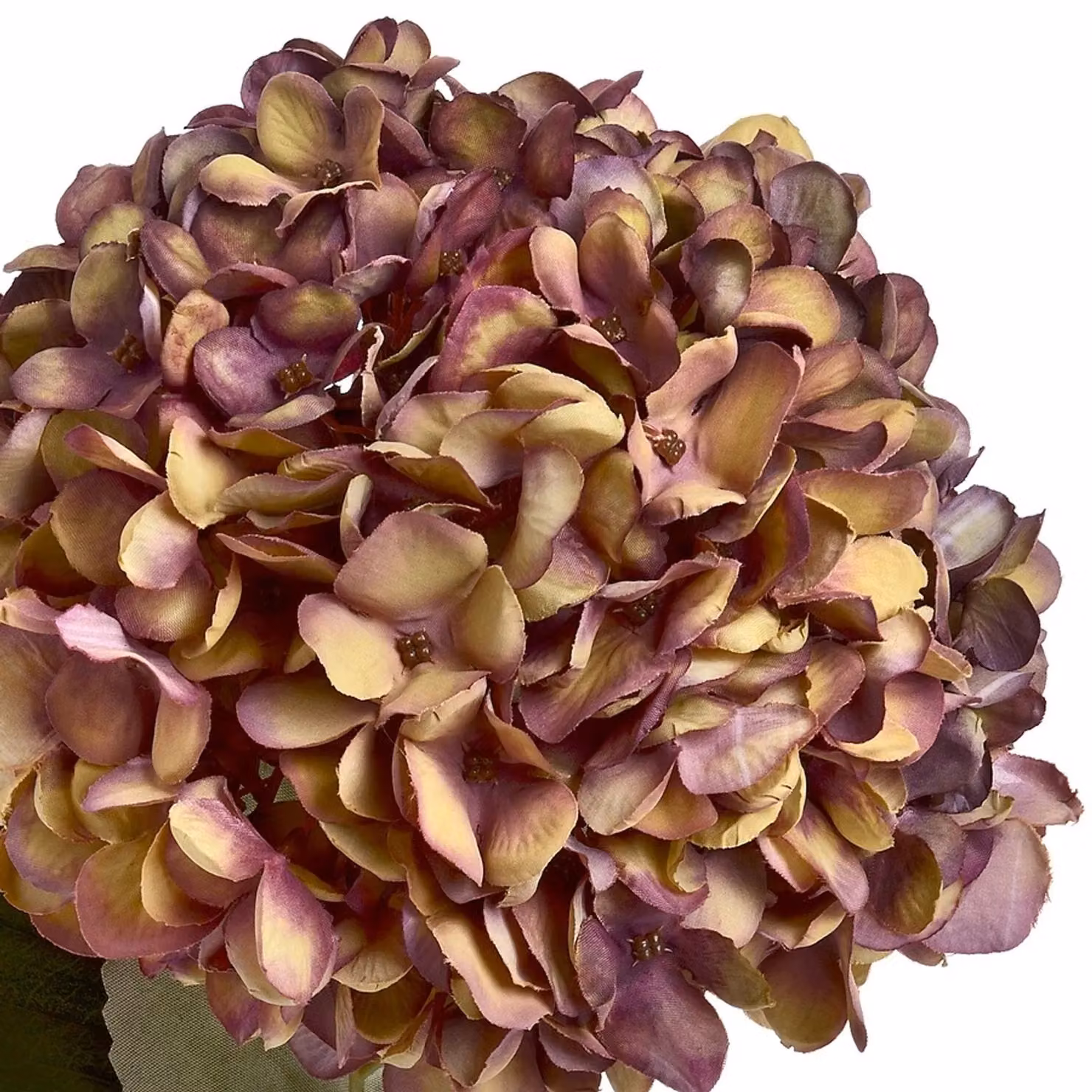 Hill Interiors Artificial Autumn Hydrangea in Brown, H 42 cm x W 18 cm x D 18 cm – 2