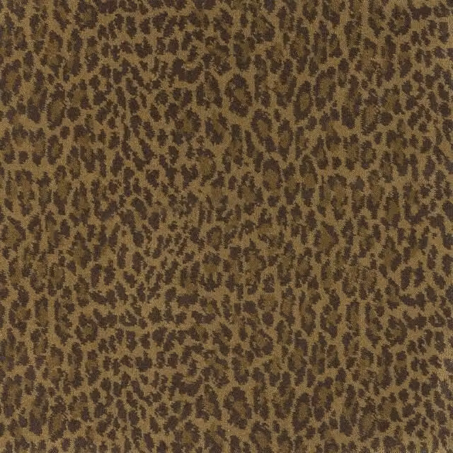 House of Hackney WILD CARD Carpet in Multicolour and Brown