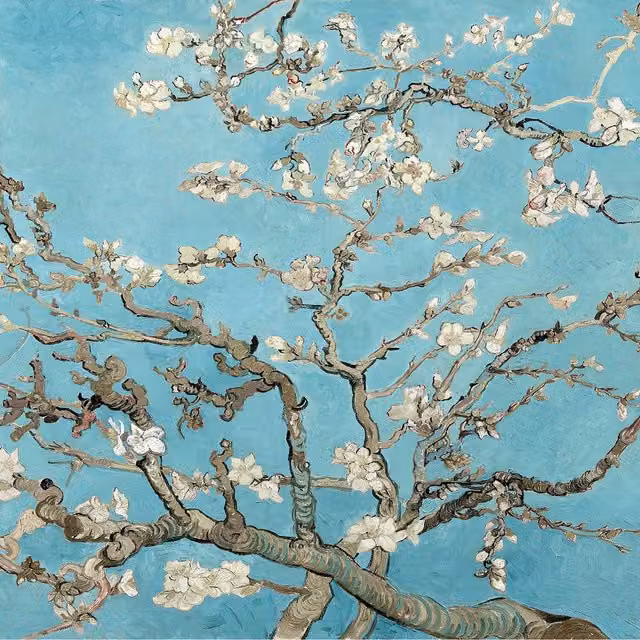 Almond Blossom Blue Floral Spring Wall Mural, Width: 260 cm