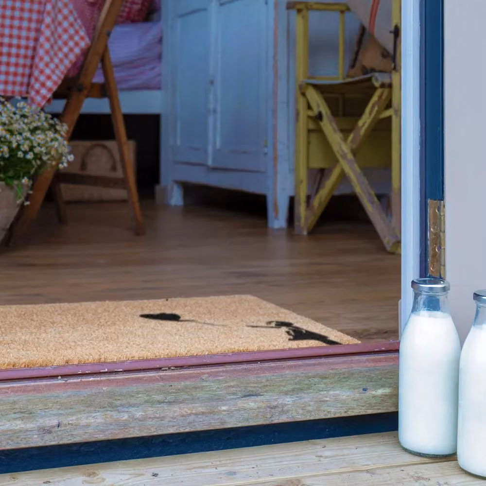 Artsy Mats Balloon Country Coir Doormat in Grey, W: 60 cm, D: 90 cm – 2