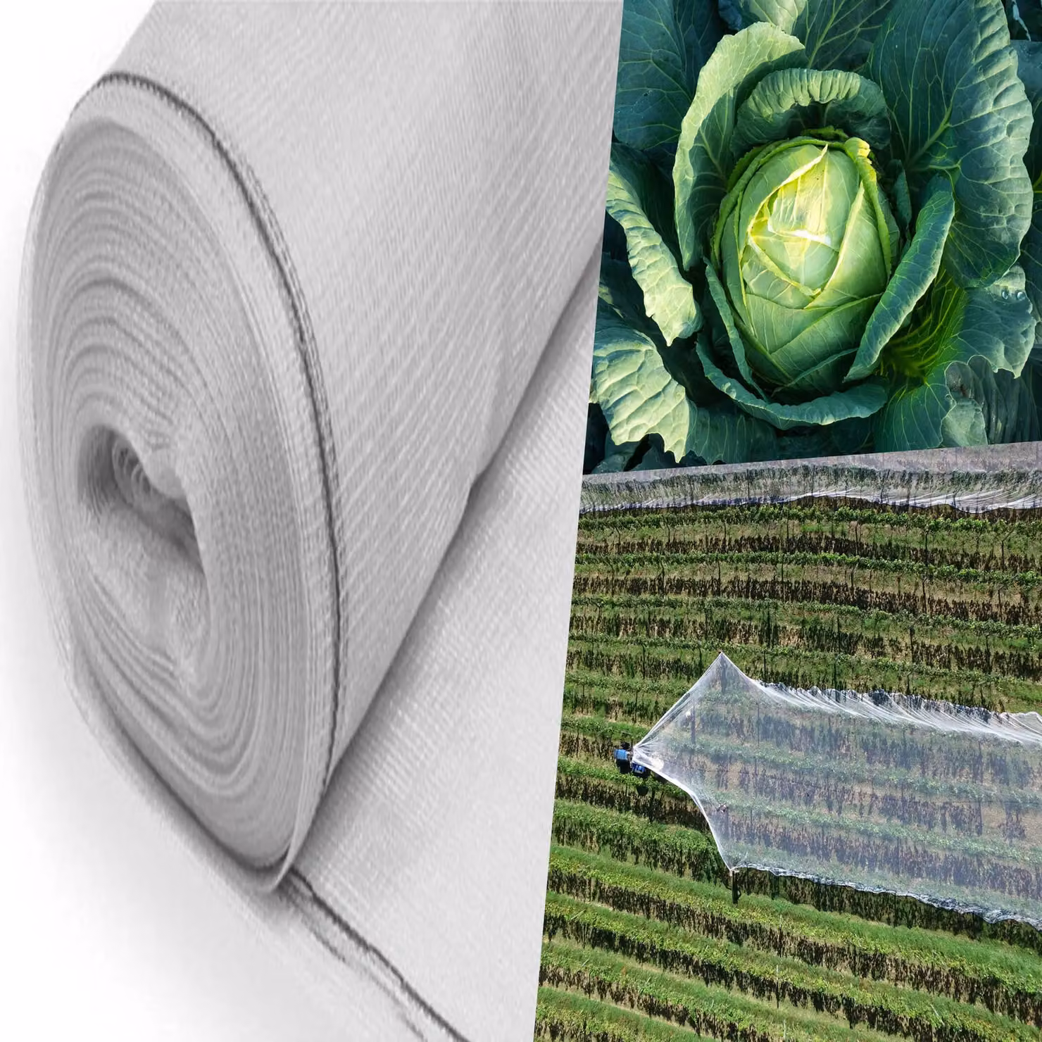 Pegdev White Heavy Duty Plants and Crops Protection Netting, UV Stabilised Mesh for Vegetable Gardens, W: 2 m, L: 16 m – 2
