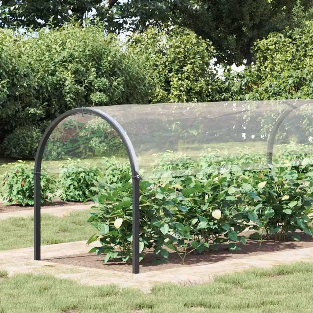 Berkfield Home Transparent PVC Plant Cover with Eyelets for Winter Protection, W 2 m x L 10 m – 2