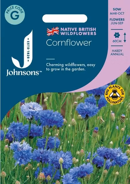 Johnsons Seeds Blue Cornflower Ornamental Flower Seeds