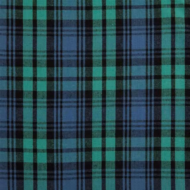 Homescapes Multicolour Black and Green Adult Fabric